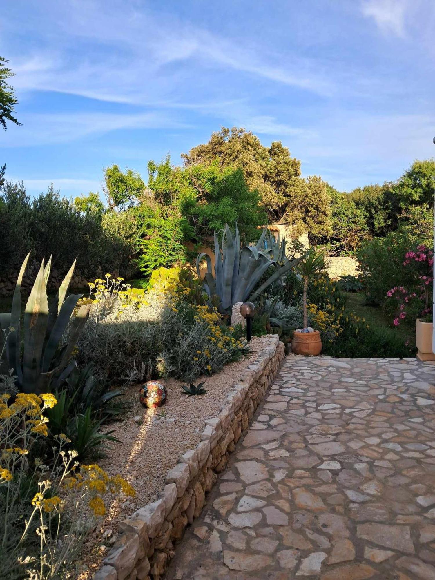Villa Cesarica ノヴァリャ エクステリア 写真