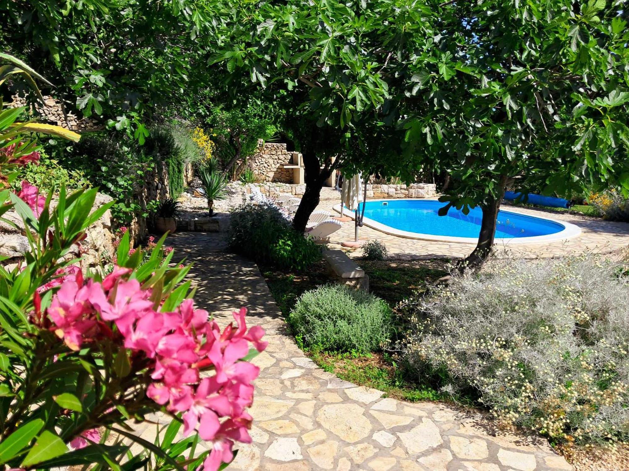 Villa Cesarica ノヴァリャ エクステリア 写真