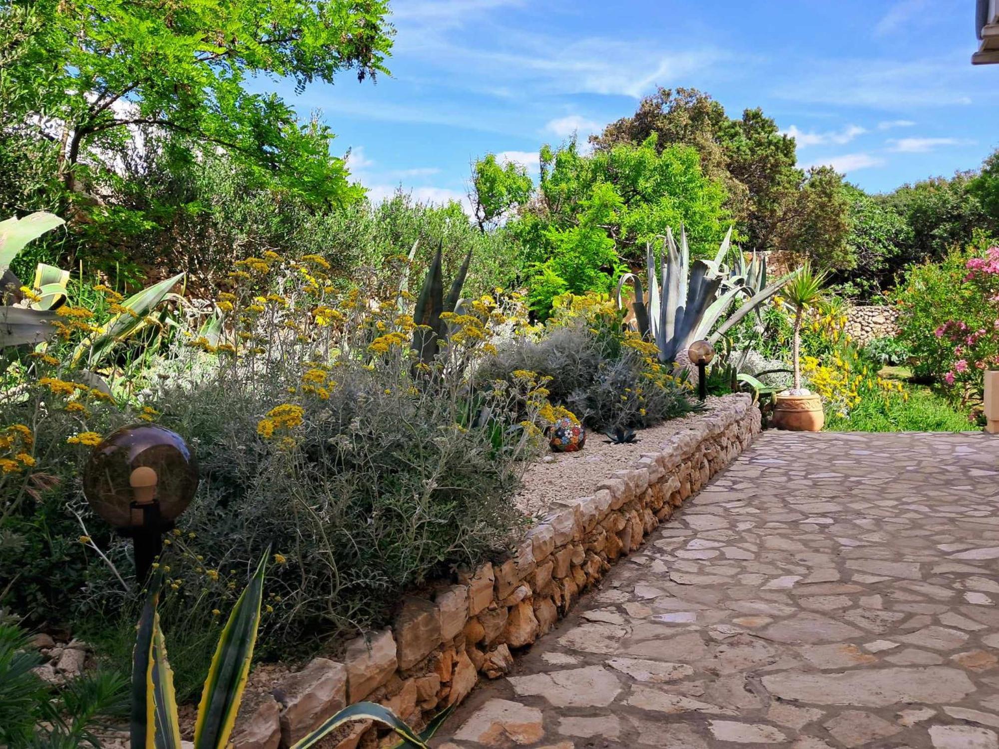 Villa Cesarica ノヴァリャ エクステリア 写真